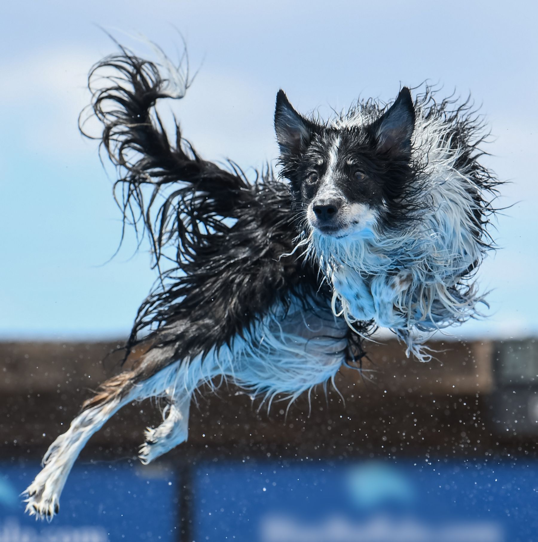 Editorial: May 7, 2021